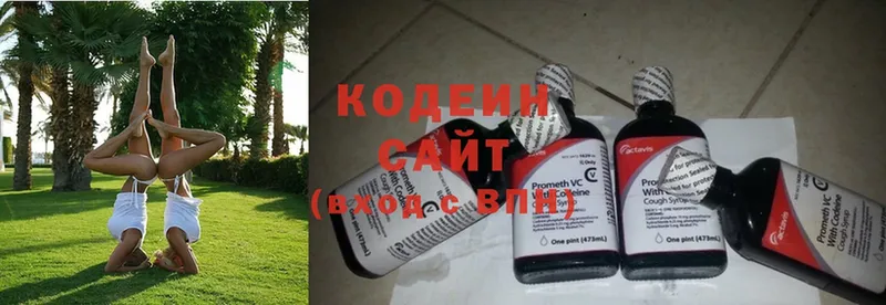 Кодеин Purple Drank  как найти закладки  Камбарка 